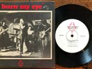 Radio Birdman - Burn My Eye 7
