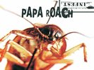 Papa Roach - Infest [New Vinyl LP] Explicit