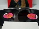 Captain Beefheart & His Magic Band Trout Mask Replica LP Vinyl