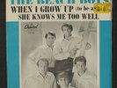 BEACH BOYS: When I Grow Up / She Knows Me Too Well 45 (PS West Coast, toc, nic