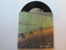 SPAZZ / 25 TA LIFE split 7