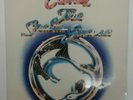The Snow Goose by Camel - 1975 Vinyl LP Record - Brand New, Sealed