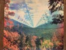 Innerspeaker by Tame Impala Vinyl LP NM
