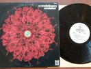 THE MUSICAL THEATRE - A REVOLUTIONARY REVELATION Promo WLP EX Metromedia LP Funk