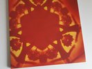 Boards of canada vinyl Geogaddie triple vinyl / NM Condition = 