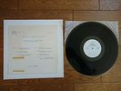 DEAD OR ALIVE Nude Remade Remodelled JAPAN White Label PROMO LP YPS-016