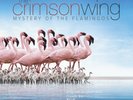 CINEMATIC ORCHESTRA - THE CRIMSON WING * RSD 2020 COLOURED VINYL 2LP NEW SEALED