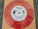 WILCO All Lives, You Say 7