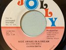 Karen Smith - Wide Awake In A Dream 45 Jolly Jamaica 80s Modern Soul VG+ mp3