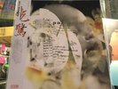 Pale Saints- Mrs Dolphin LP On Colored Vinyl