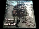 LANA DEL REY - NFR - NORMAN ROCKWELL LIMITED PINK 2 x VINYL LP NEW
