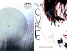 The Cure Seventeen Seconds And Bloodflowers Picture Disc RSD Record Store Day
