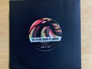 The Future Sound of London Papua New Guinea (Andrew Weatherall Mix) 7