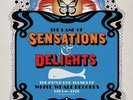VARIOUS ARTISTS - THE LAND OF SENSATIONS & DELIGHTS RSD 2020 AUG 29TH