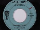 Doo Wop 45 CHANDELIERS Blueberry Sweet ANGLE TONE HEAR
