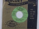 Doo Wop R&B 45 DEL VIKINGS A Sunday Kind Of Love MERCURY promo HEAR