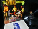BASS/GUITAR & ARR : FRANK ZAPPA +THE ANIMALS   