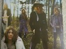 MOTT THE HOOPLE wildlife LPVG+/M-, ILPS 9144, vinyl, album, gatefold, uk, 1971,
