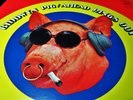 TOP  1969 BLODWYN PIG - 