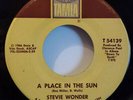 Stevie Wonder - A Place In The Sun  (7