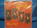 RECORD 7” SINGLE 4 NON BLONDES WHAT'S UP 1825