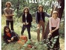 FLEETWOOD MAC-Live In Finland 1969 (UK IMPORT) VINYL NEW