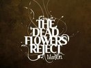 MANSUN-The Dead Flowers Reject-White Vinyl-RSD 2020-Still Sealed