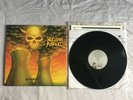 Nuclear Assault Survive 1988 I.R.S. Vinyl Record LP Thrash Metal VG-