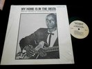 FRED AND ANNIE MAE MCDOWELL/MY HOME IS IN THE DELTA/BLUES/TESTAMENT/USA PRESS