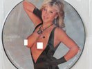 SAMANTHA FOX Interview Picture Disk 2 LP (BAK 2055) Cheesecake
