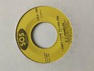 NORTHERN SOUL - E.J. CHANDLER - I CAN'T STAND TO LOSE YOU, RARE, SOS Label