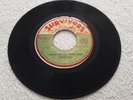 SURVIVORS THIRD WORLD REBELLION ORIGINAL 1977 JAMAICA 7
