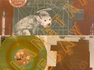 Pixies Doolittle Bronze/Green Swirl Colored Vinyl LP Limited 1000