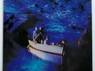 ORIGINAL Vtg ECHO & THE BUNNYMEN Album OCEAN RAIN Killing Moon RECORD Lp NR MINT