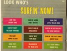 Look Who’s Surfin’ Now RARE 1964 King Records LP James Brown, Freddy King VG+/VG