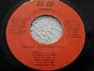 WILLI J. & CO BOOGIE WITH YOUR BABY 1ST PRESS 1976 US 7