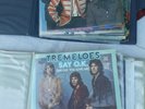 The Tremeloes 23 Vinyl Singles