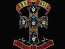 Guns N' Roses-Appetite for Destruction Vinyl / 12