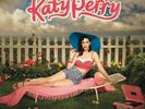 * Katy Perry - ONE OF THE BOYS - Vinyl 2 LP Gatefold Cover - NEW & SEALED