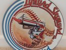 Lynyrd Skynyrd: Freebird (B side: Sweet Home Alabama / 1982 / Picture Disc / 12