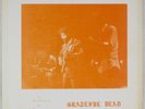 GRATEFUL DEAD: 70s Live Recording FADE DG Rock Vinyl LP