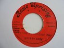 HORACE ANDY  Trying To Conquer Me ROSIE 80's Roots Reggae 7