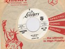 1958 Rockabilly 45 Jackie Dee 