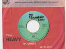 RARE ROOTS REGGAE 45 MOUNTAIN LABEL RYO 