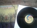 AMERICAN BLUES Do Their Thing 1968 original Album UNI 73044 LP zz top