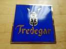 TREDEGAR VINYL LP ( ex budgie  )