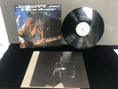 LP John Lee Hooker Boom Boom Vinyl Schallplatte Virgin Records 1992