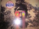 The Flaming Lips 