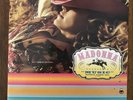 MADONNA Music Store Counter Display 2000 Excellent Condition and a Rare Find