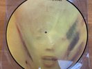 The Rolling Stones, Goats Head Soup, Mexico, Picture Disc, Esterrio Records EMI